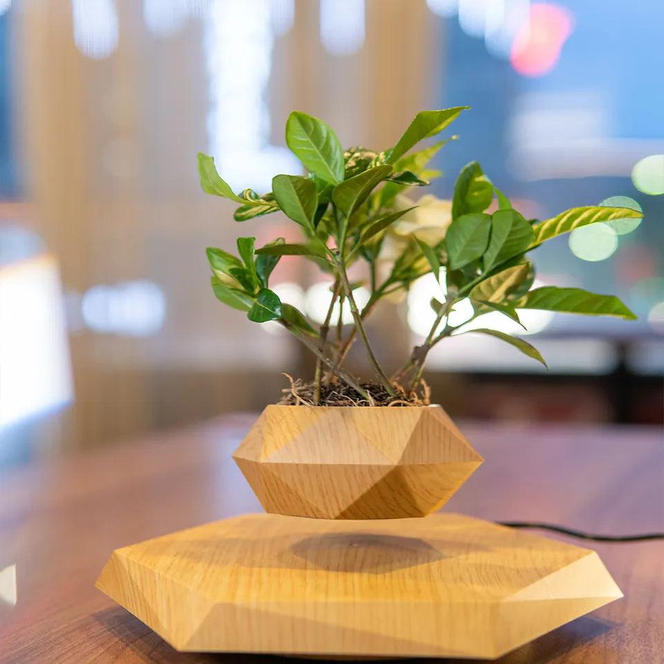 Levitating Plant Pot