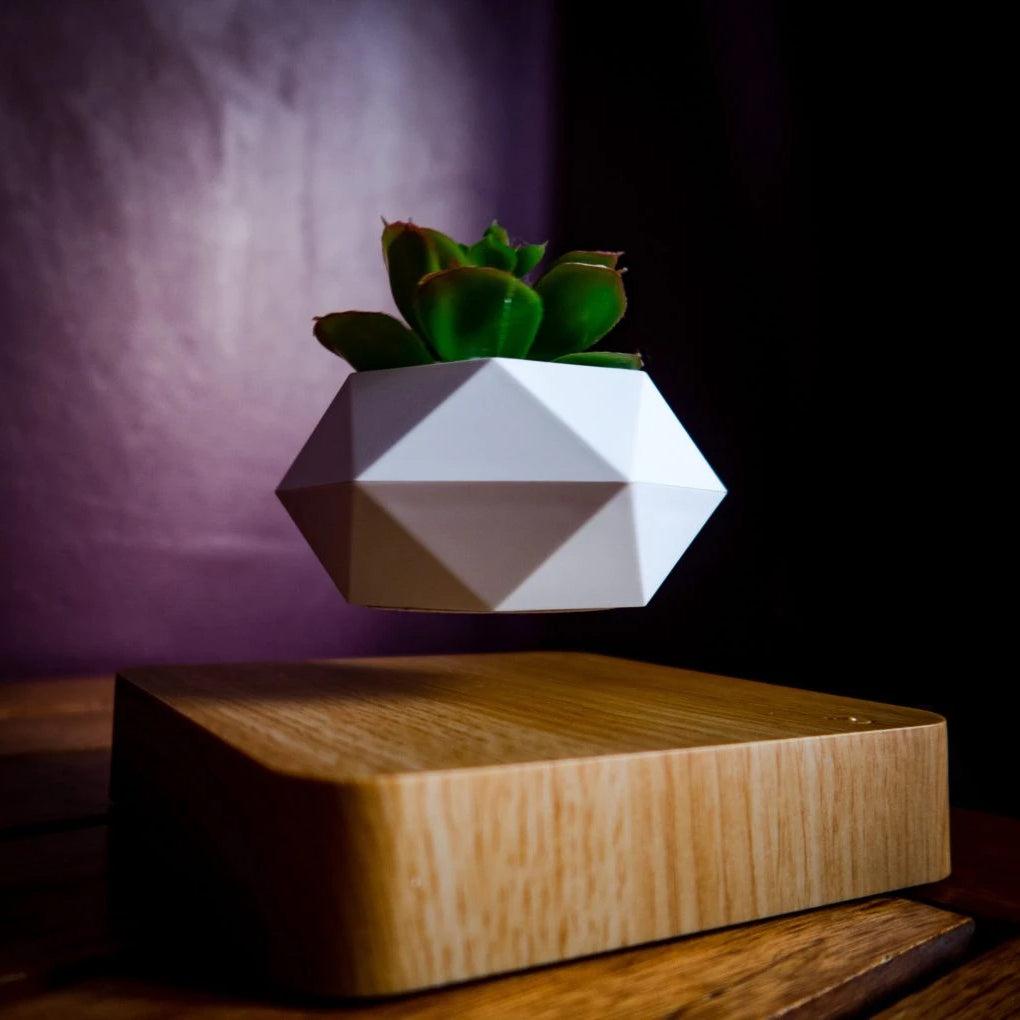 Levitating Plant Pot